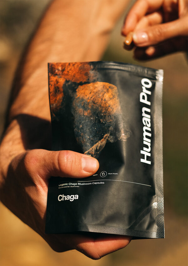 buy chaga