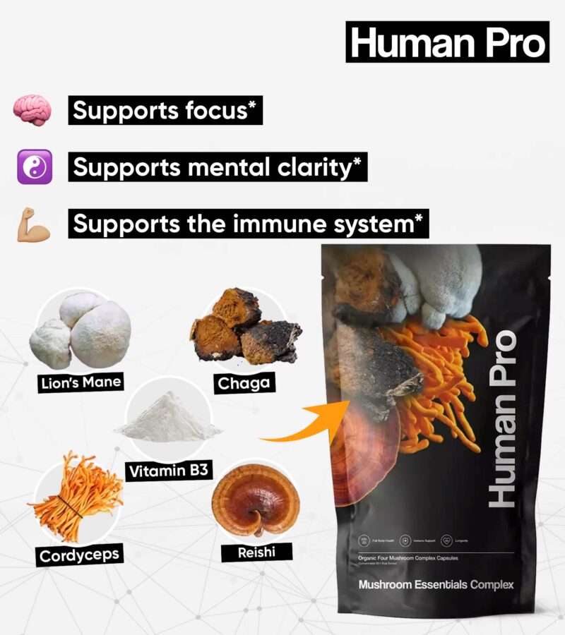 Mec Benefits En