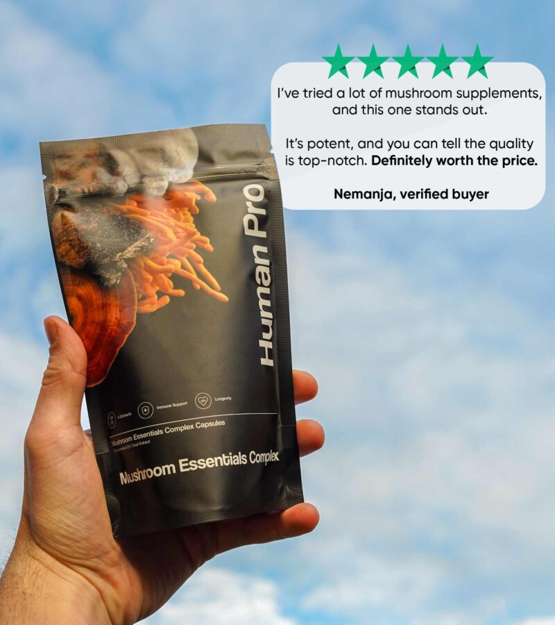 Mec Review En