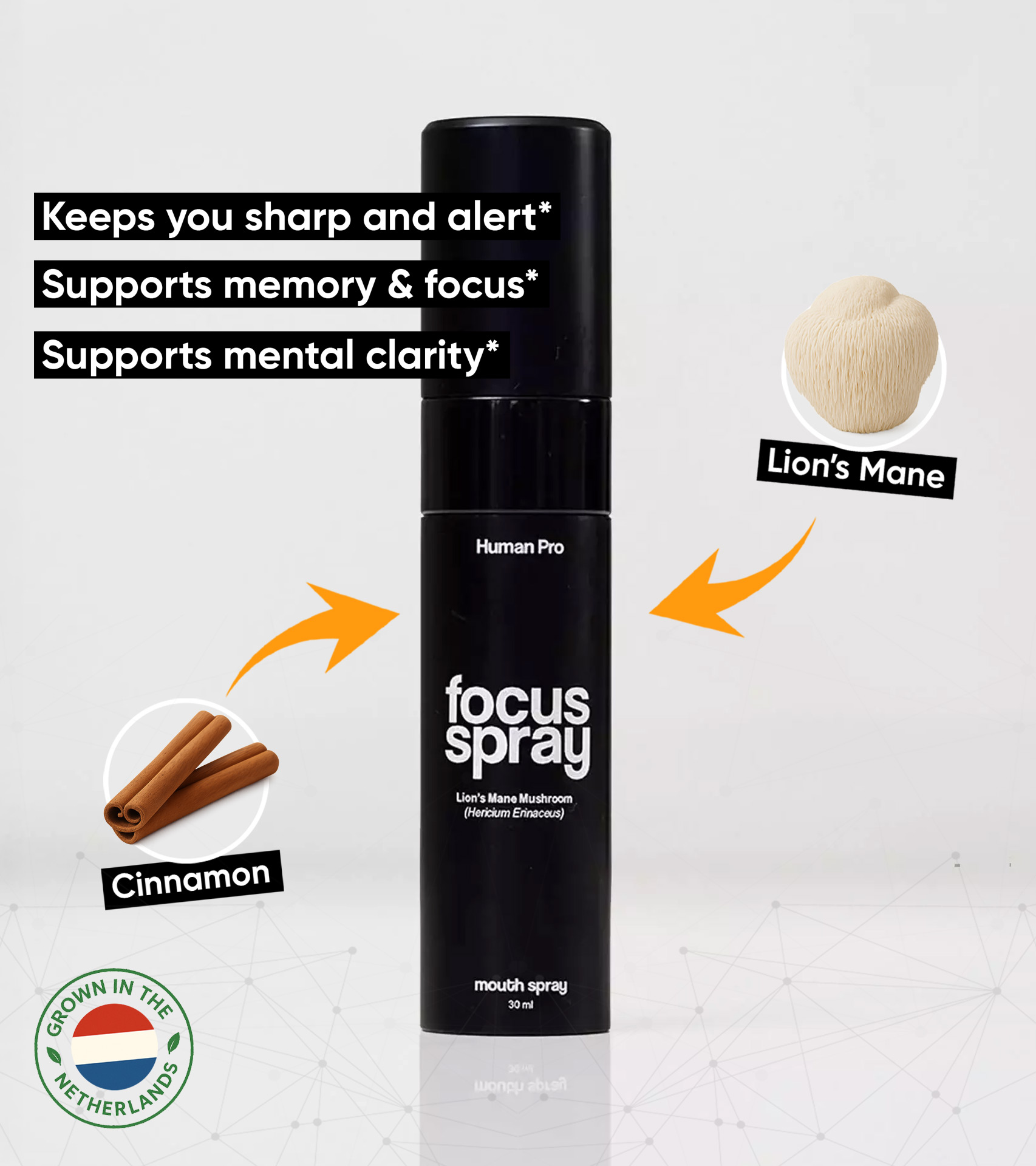 Lions Mane Focus Spray Main En5