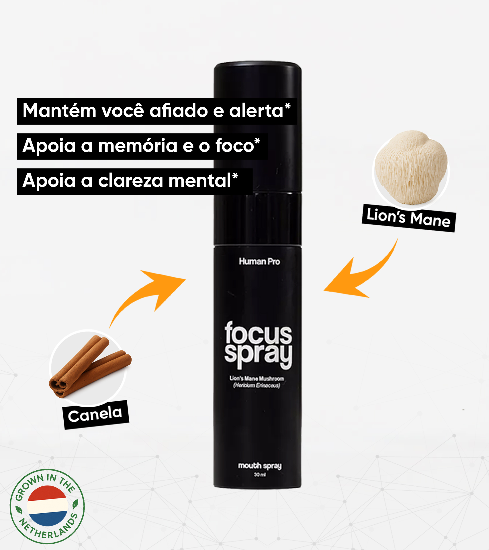 Lion’s Mane Focus Spray