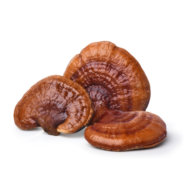 Otimize seu bem-estar com Reishi