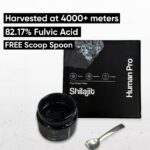 Shilajit Main En