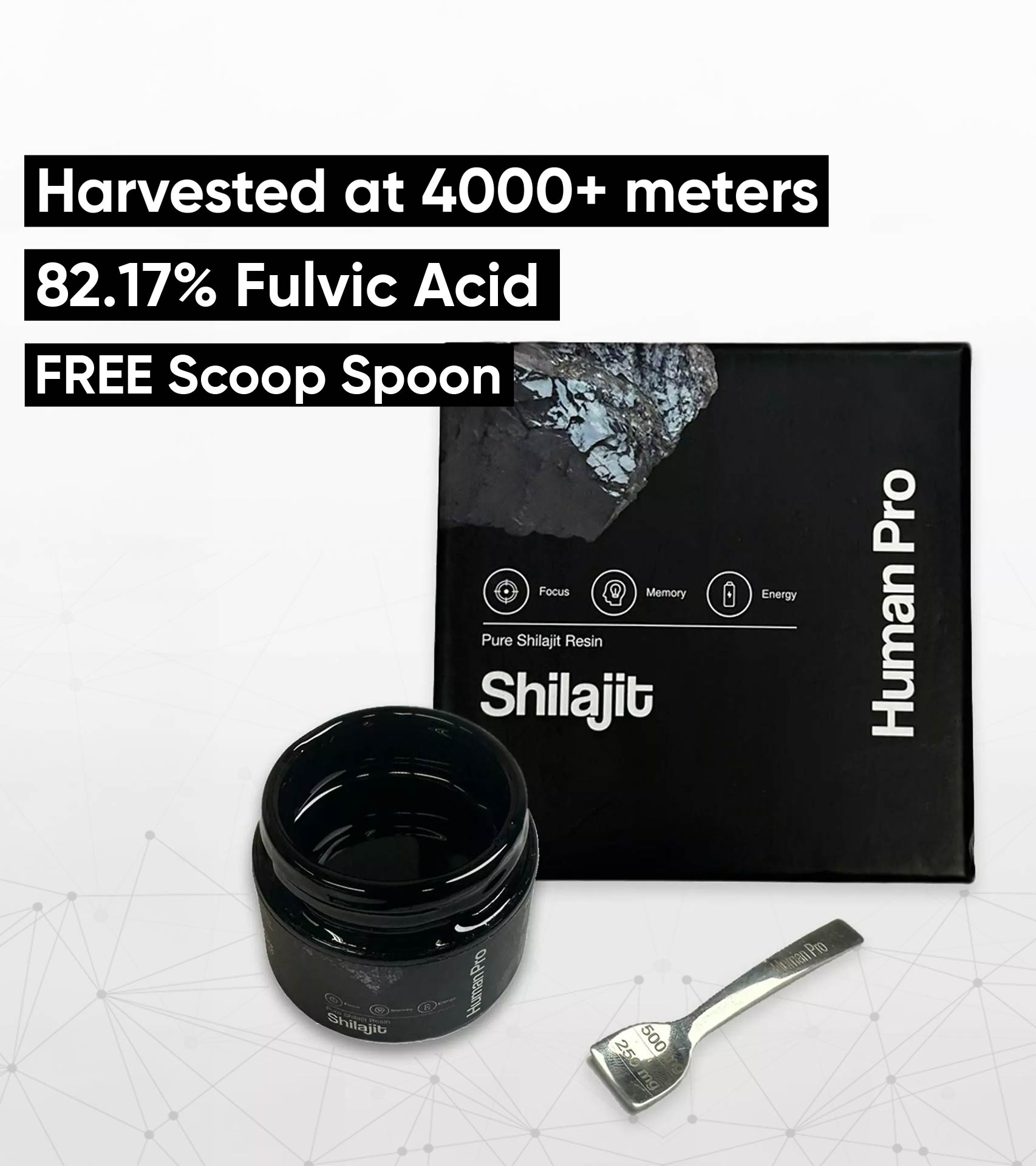 Shilajit Main En